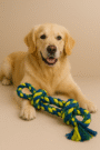 Premium Heavy-Duty Rope Dog Toy – Multiple Colours