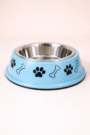 Stainless Steel Dog Bowl with Anti-Slip Base – Multicolor (Blue / Pink / Yellow)