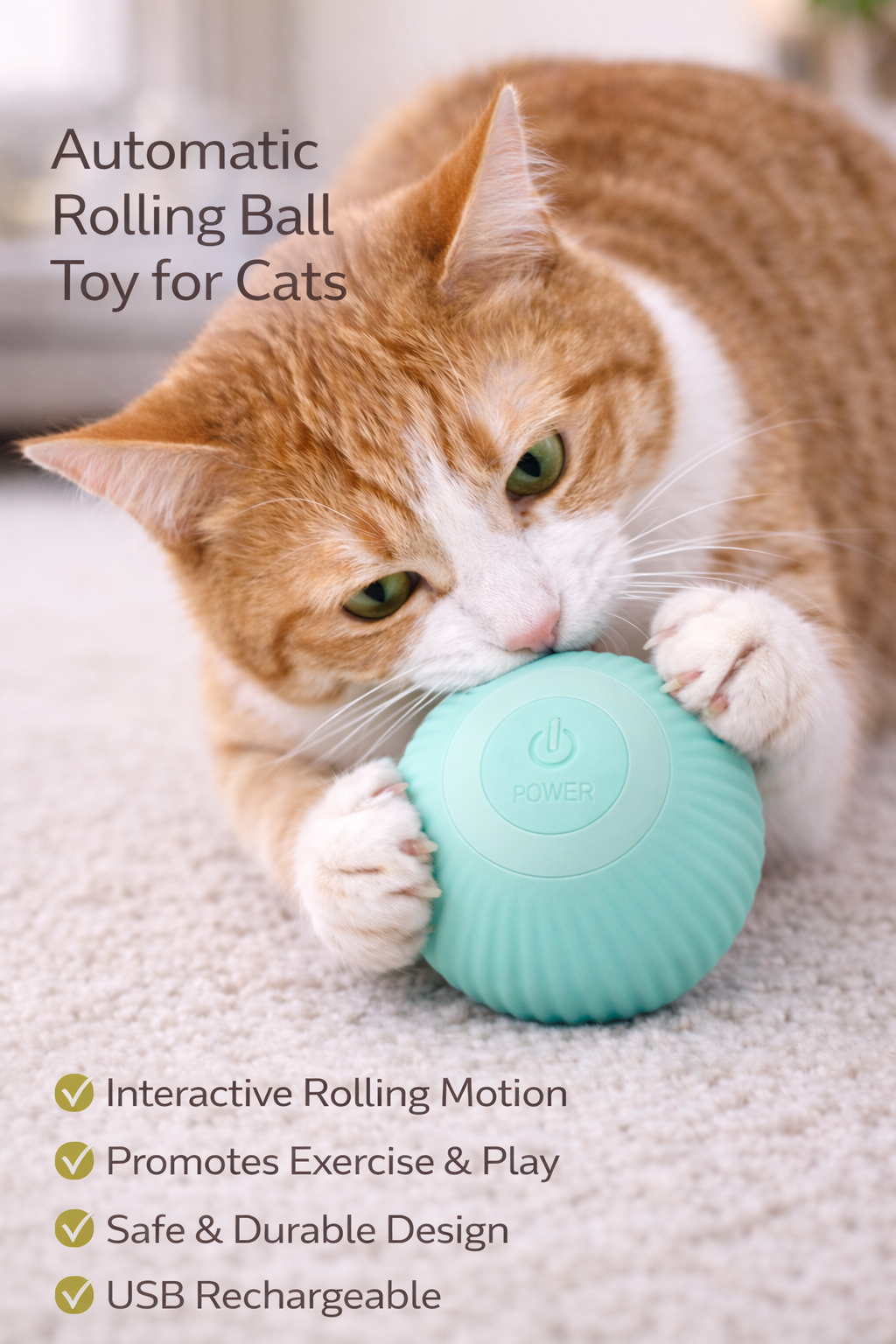 Cat engages with automatic rolling ball