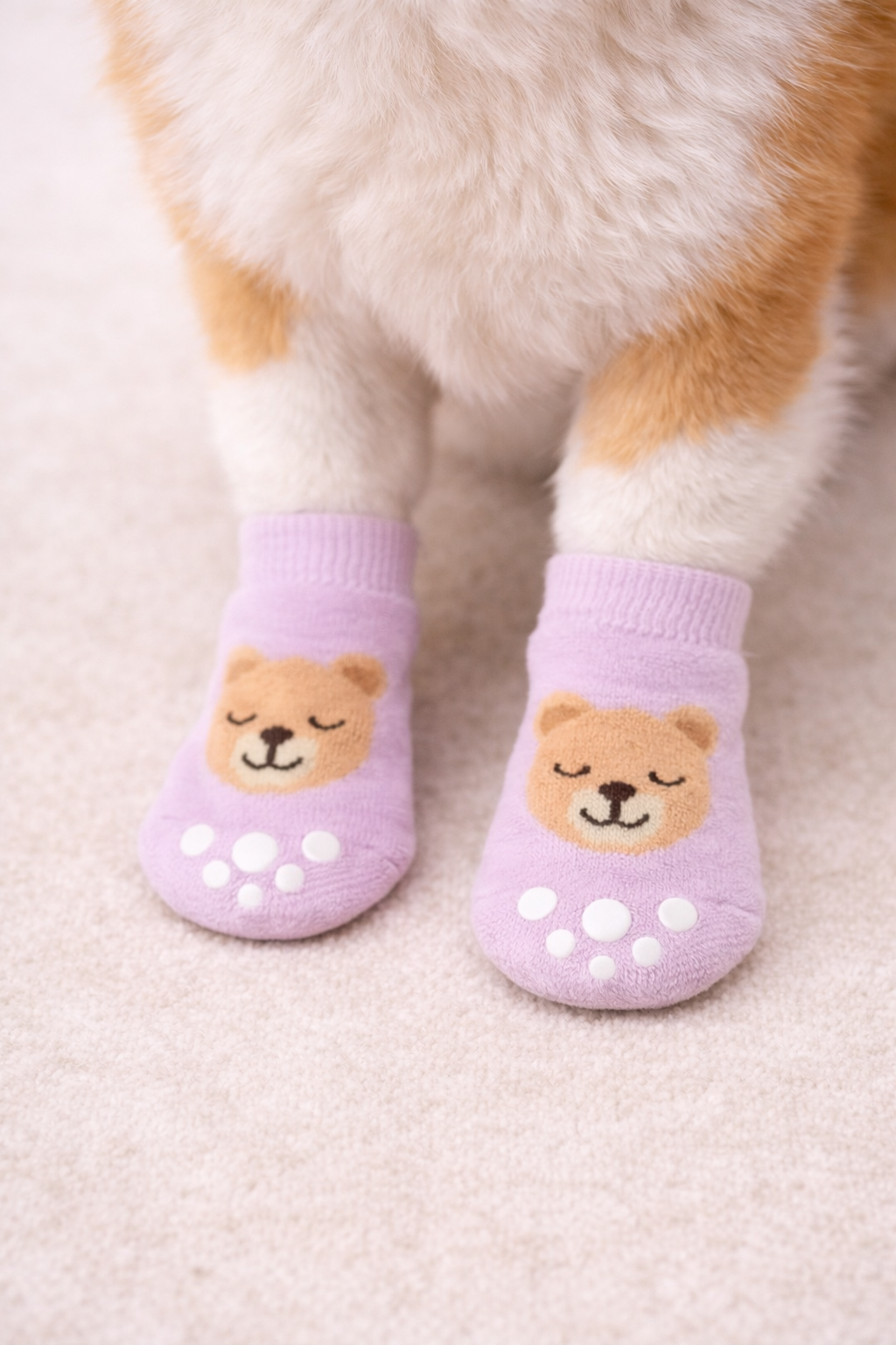 Fluffy paws in lavender socks