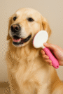 Self-Cleaning Slicker Brush for Dogs