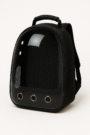 Transparent Backpack – Black
